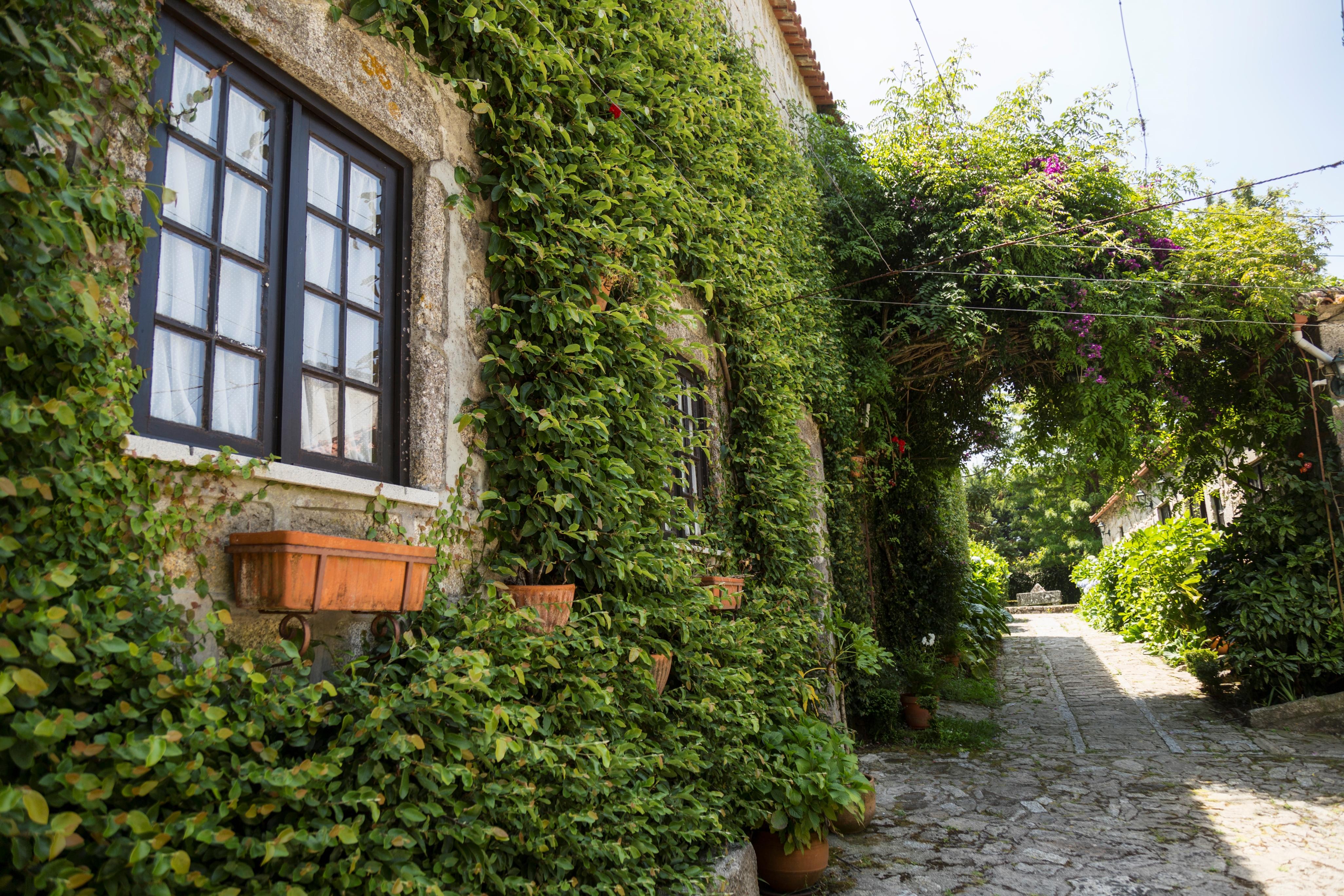 Bed and Breakfast Casa Do Ameal Viana do Castelo Exterior foto