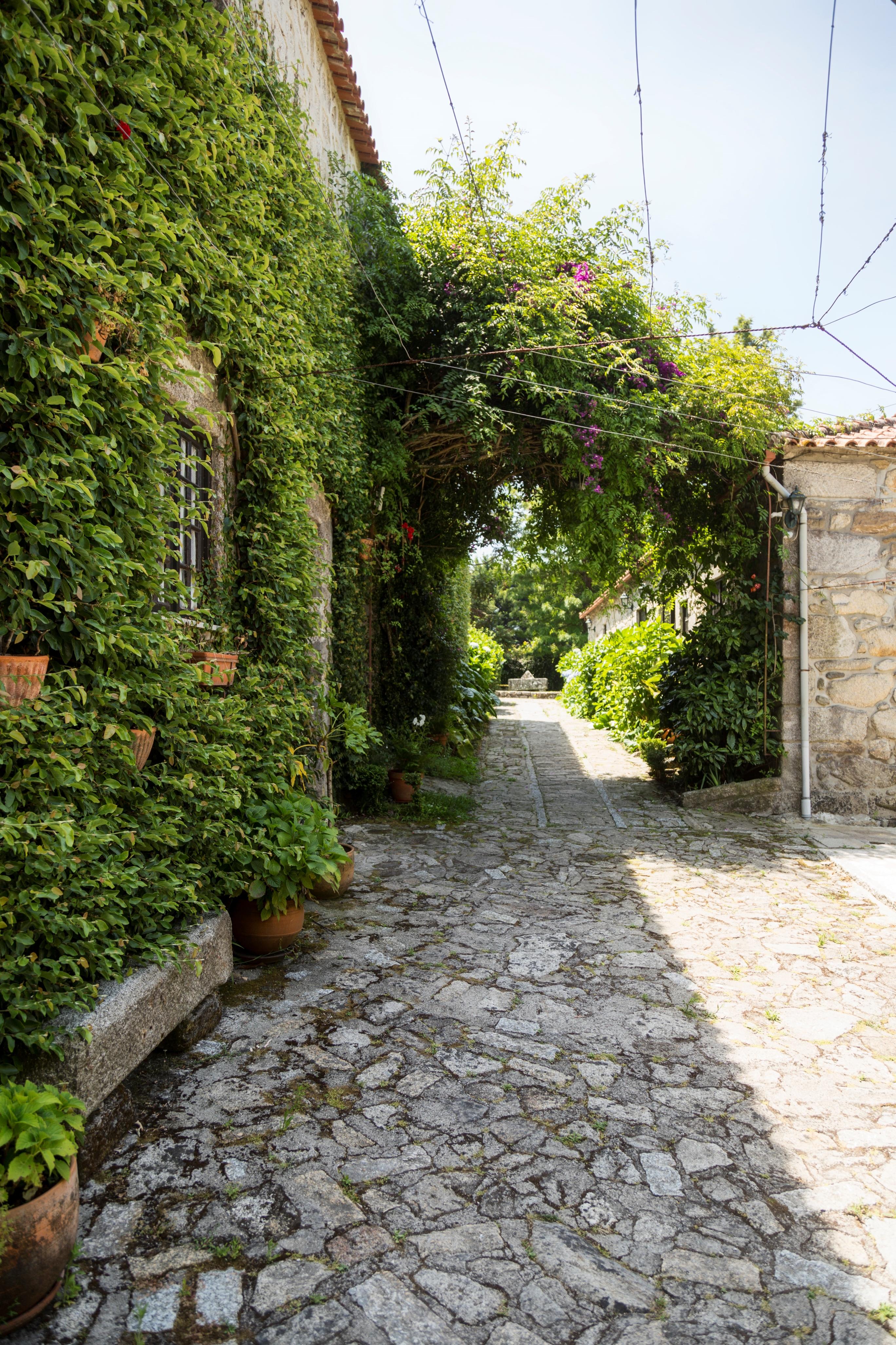 Bed and Breakfast Casa Do Ameal Viana do Castelo Exterior foto